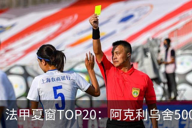 法甲夏窗TOP20：阿克利乌舍5000万欧成标王，费兰4850万欧第二